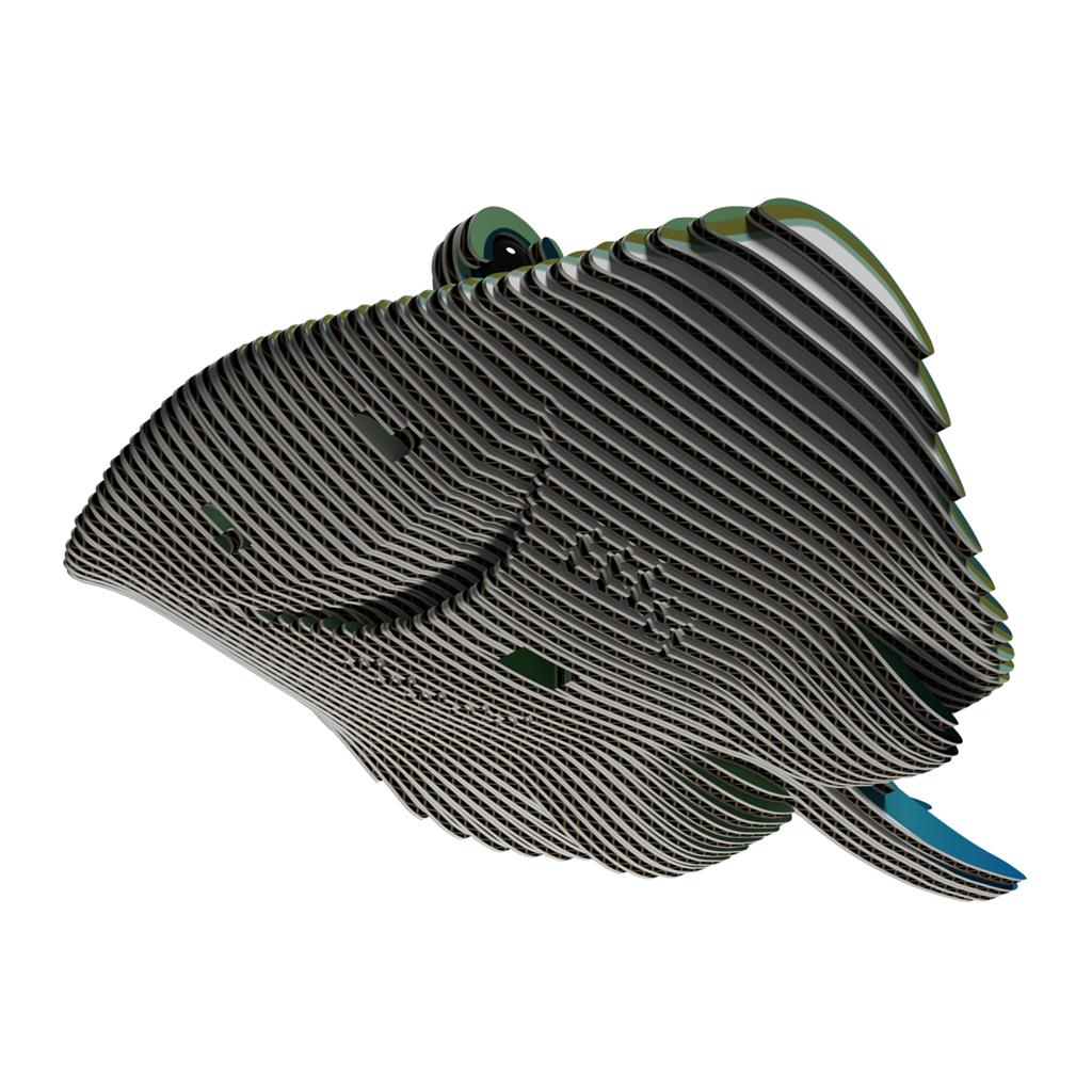 EUGY 3D - Ray