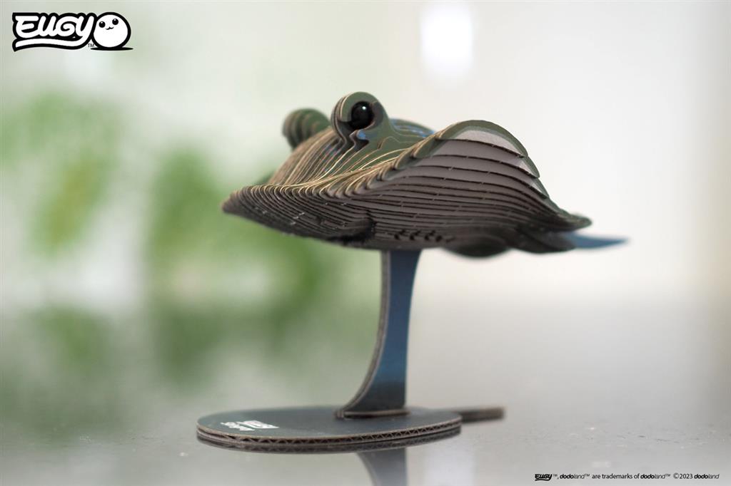 EUGY 3D - Ray