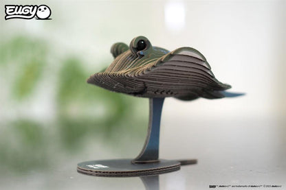 EUGY 3D - Ray