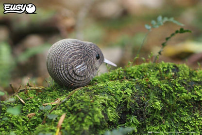 EUGY 3D – Brauner Kiwi