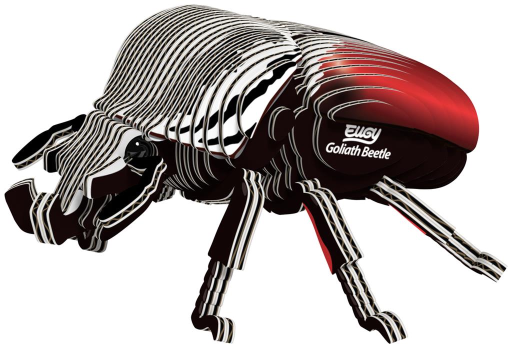EUGY 3D - Goliath Beetle