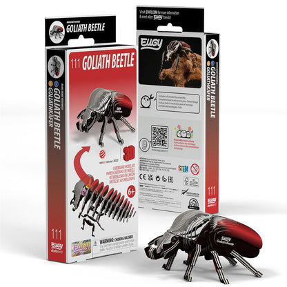EUGY 3D - Goliath Beetle