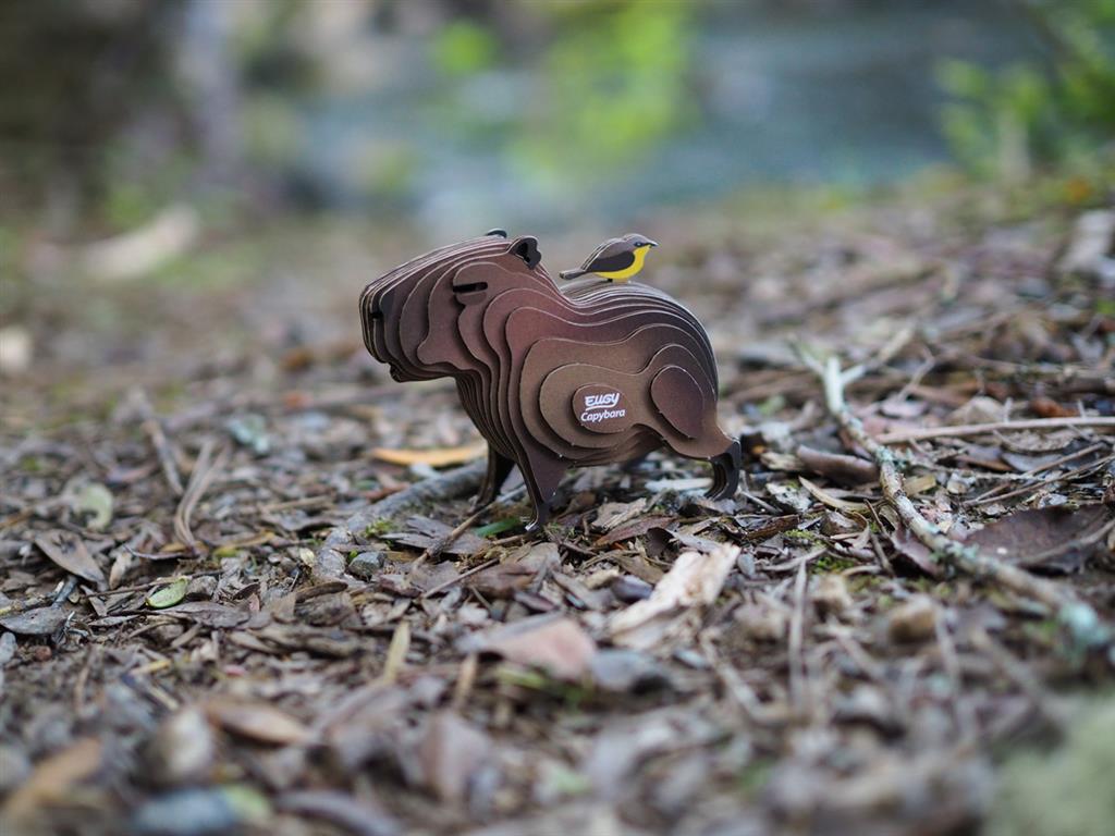 EUGY 3D - Capybara