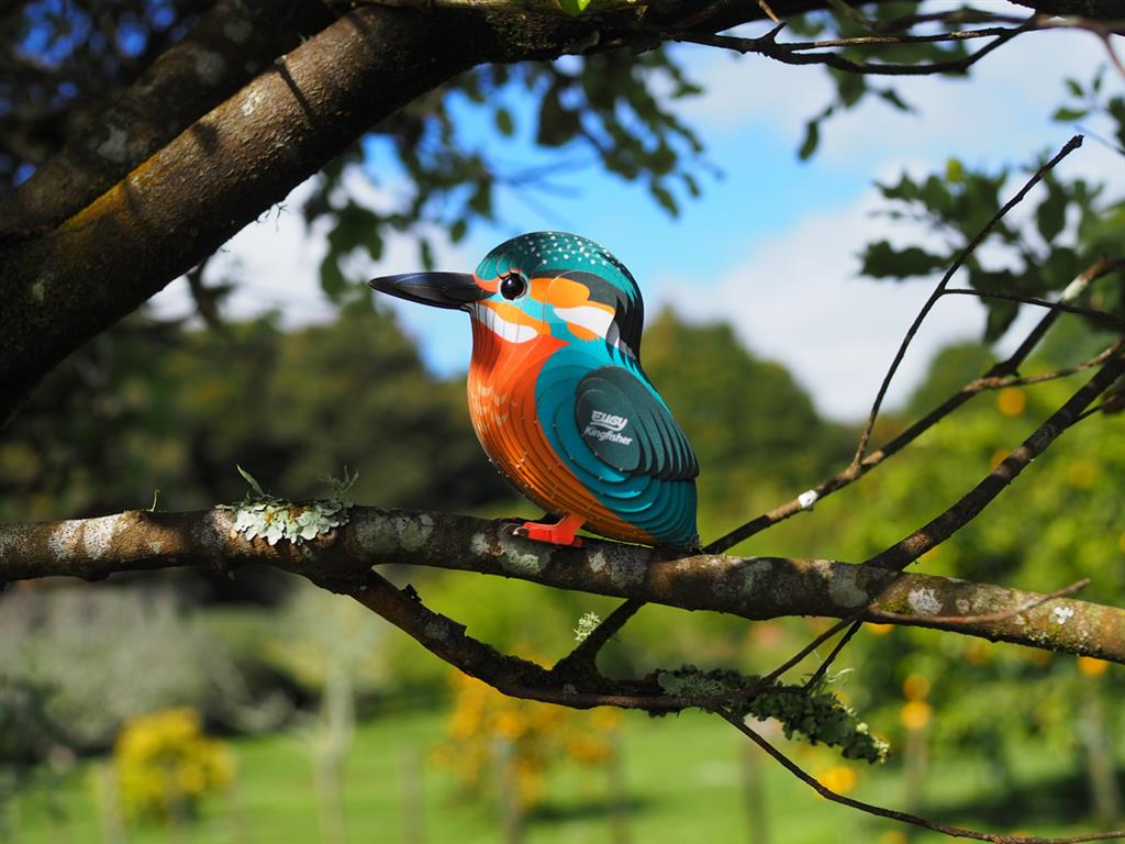 EUGY 3D - Kingfisher