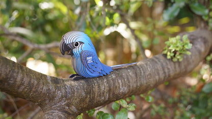 EUGY 3D - Spix's Macaw