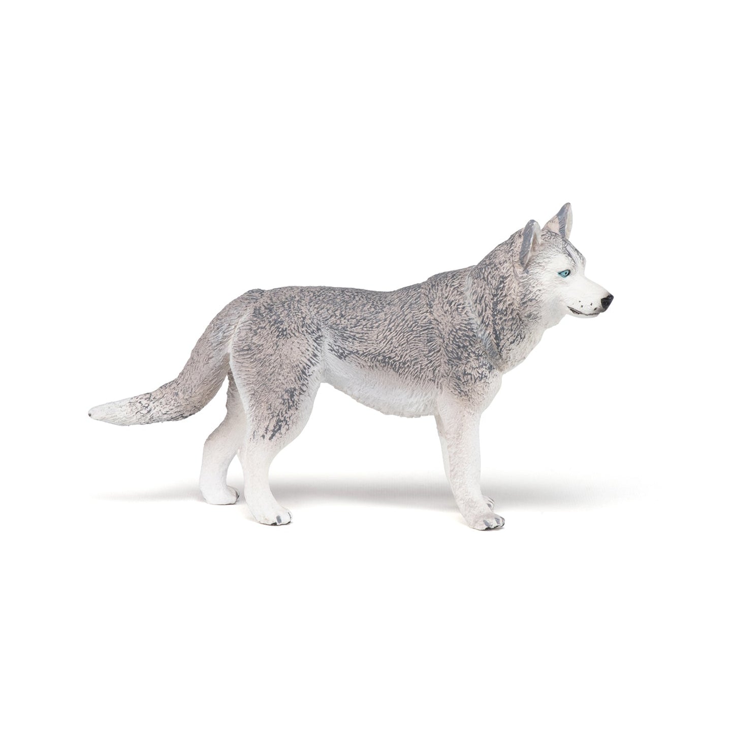 Figurine Husky de Sibérie Papo - chien ou chat