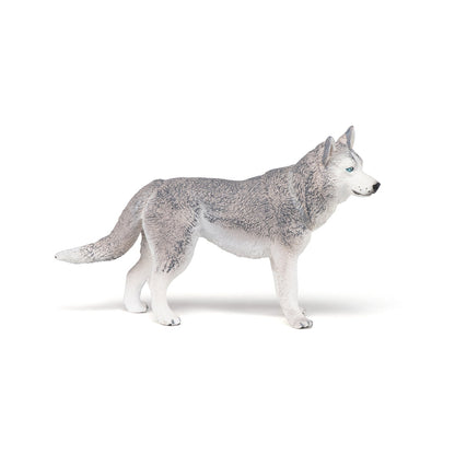 Figurine Husky de Sibérie Papo - chien ou chat