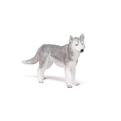 Figurine Husky de Sibérie Papo - chien ou chat