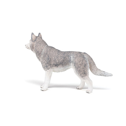 Figurine Husky de Sibérie Papo - chien ou chat