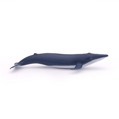 Figurine Bébé baleine bleue Papo - animal marin