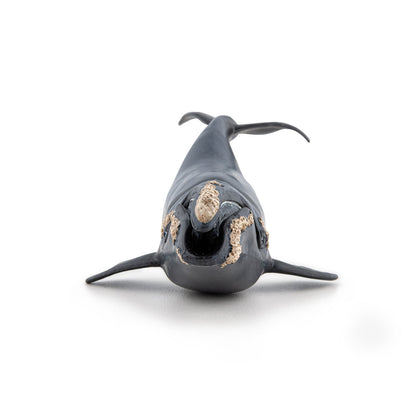 Figurine Baleine franche Papo - animal marin