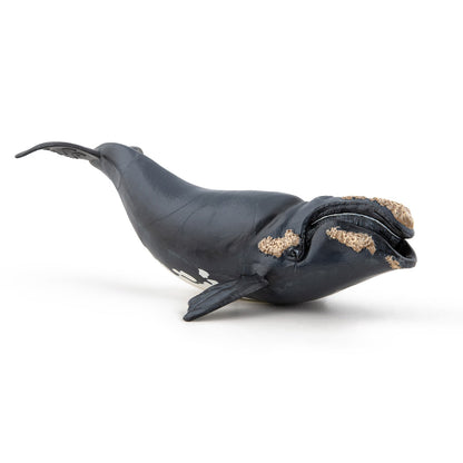 Figurine Baleine franche Papo - animal marin