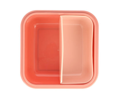 Grande Boîte à Déjeuner Fées Sauvages