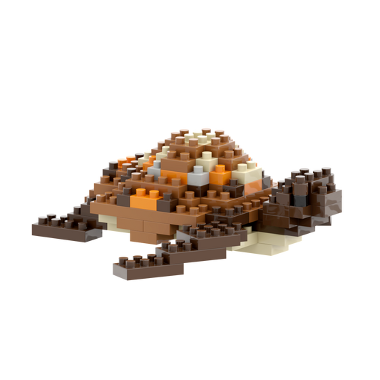 BRIXIES Tortue