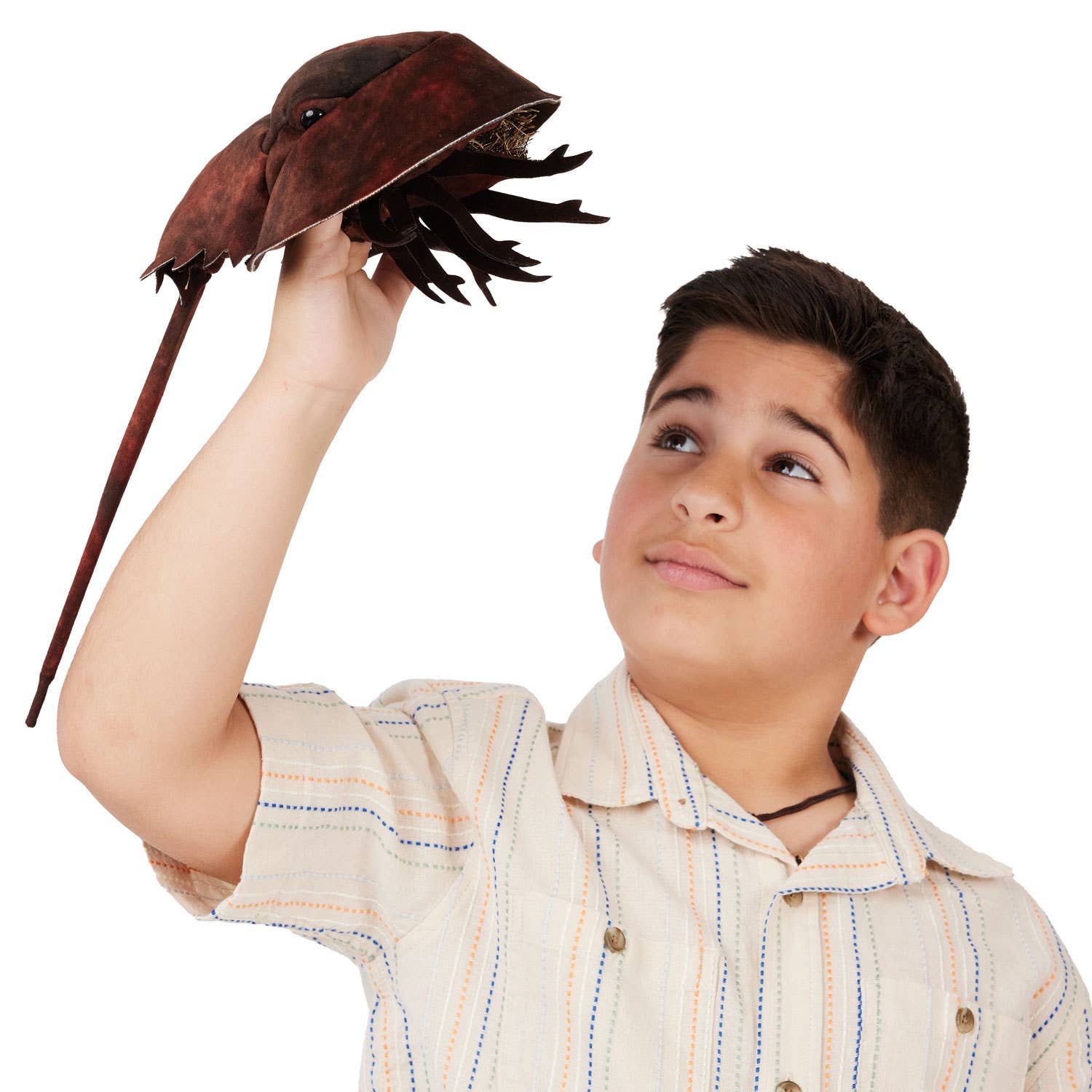 Marionnette à main Crabe à cheval/Crabe de fer à cheval 3218 Folkmanis réaliste