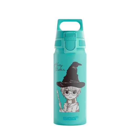 WMB ONE Kids Harry Potter 0.6 L Water Bottle 