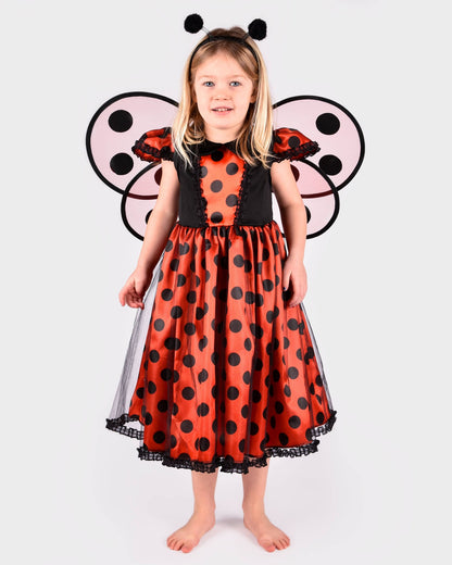 Ladybug dress with accessories for 2-4 years (size 98-104 cm)