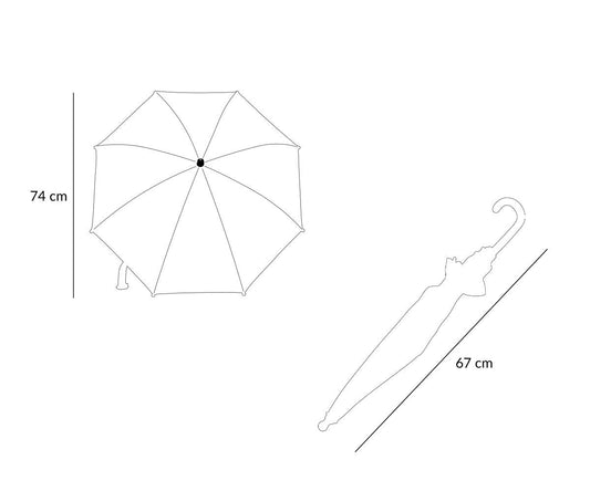 Transparent Car Umbrella