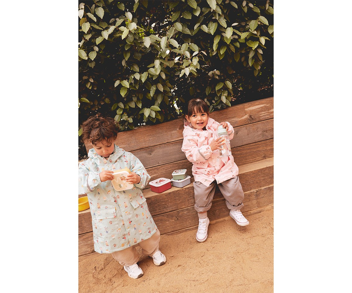 3 Magical Forest Lunch Boxes