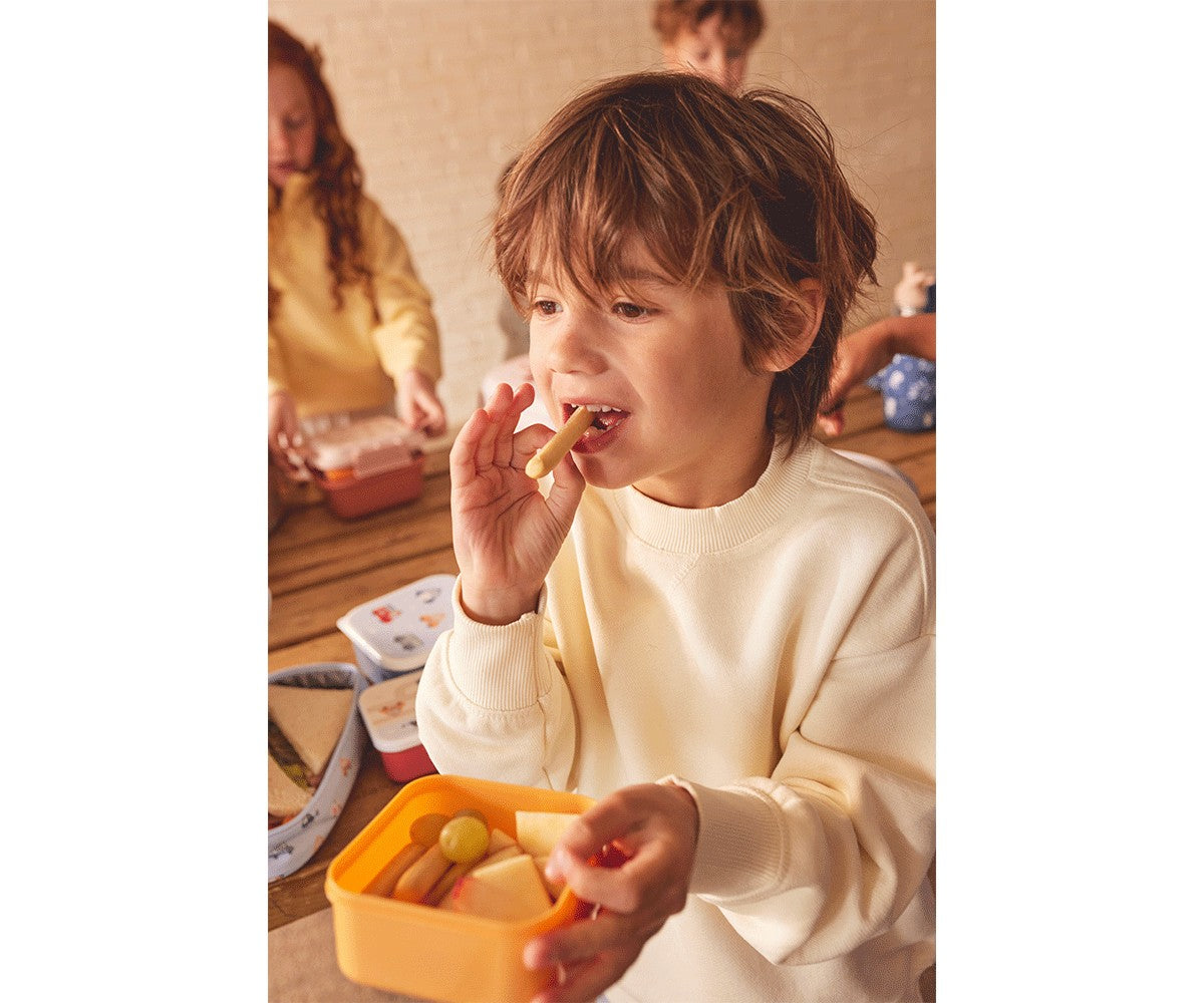 3 Funny Alphabet Letter Lunch Boxes