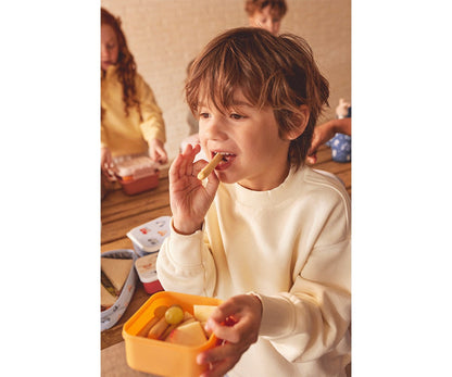 3 Geometric Nature Lunch Boxes