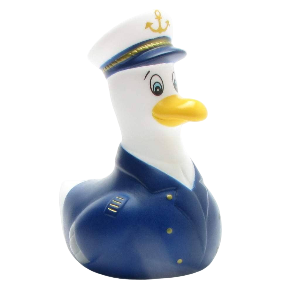 Mouette Capitaine