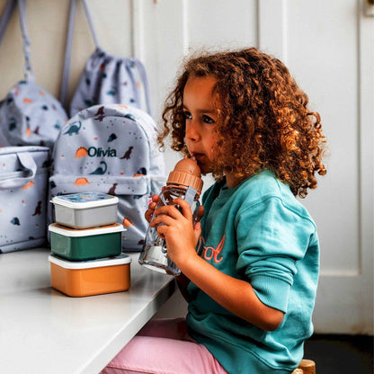 Dinosaur World Plastic Water Bottle