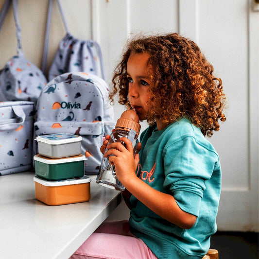 Dinosaurier-Welt-Plastikwasserflasche