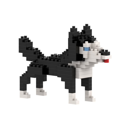 BRIXIES Husky