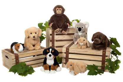 Peluche Singe Assis – 35 cm - Teddy Hermann
