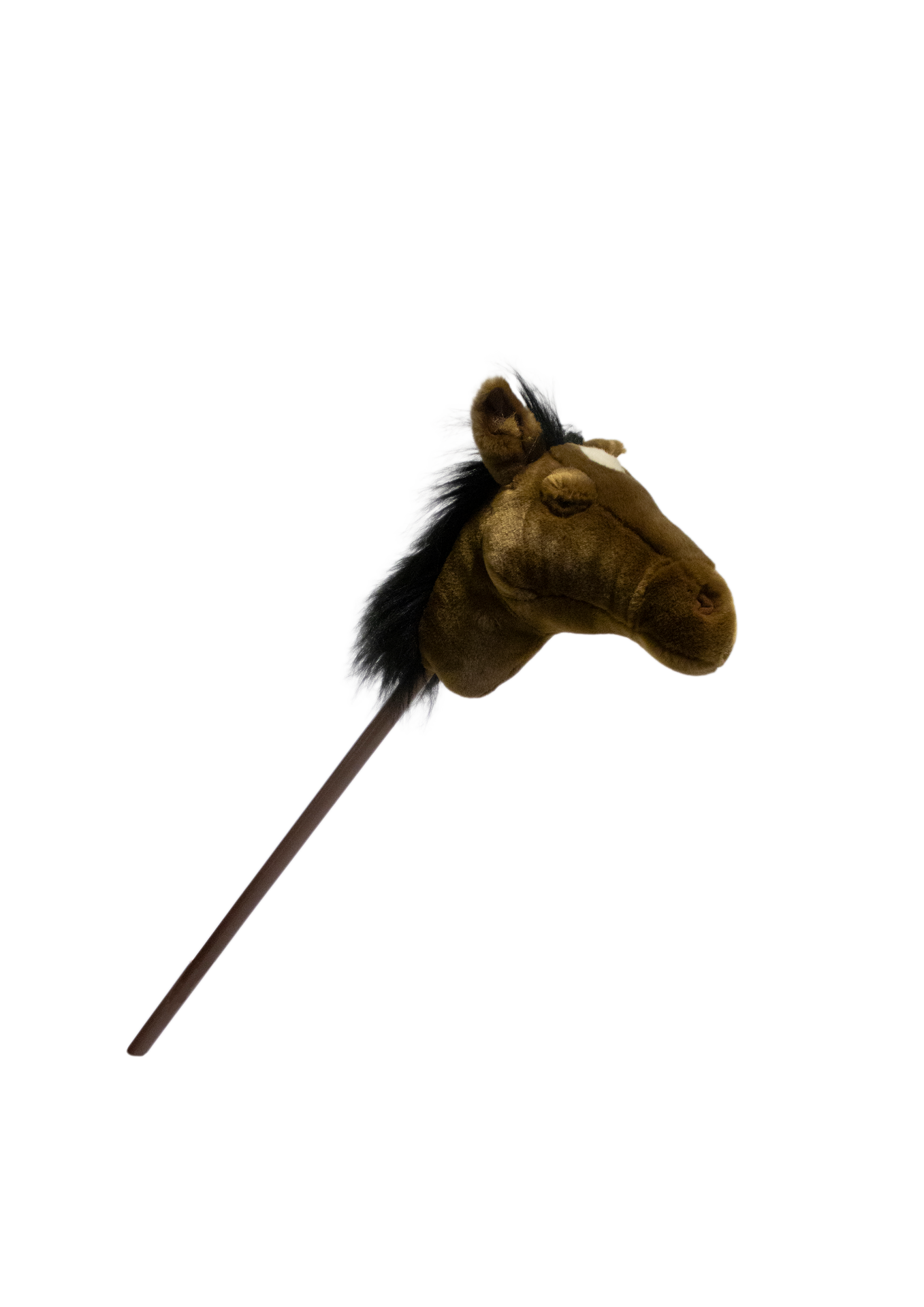 Hobbyhorse