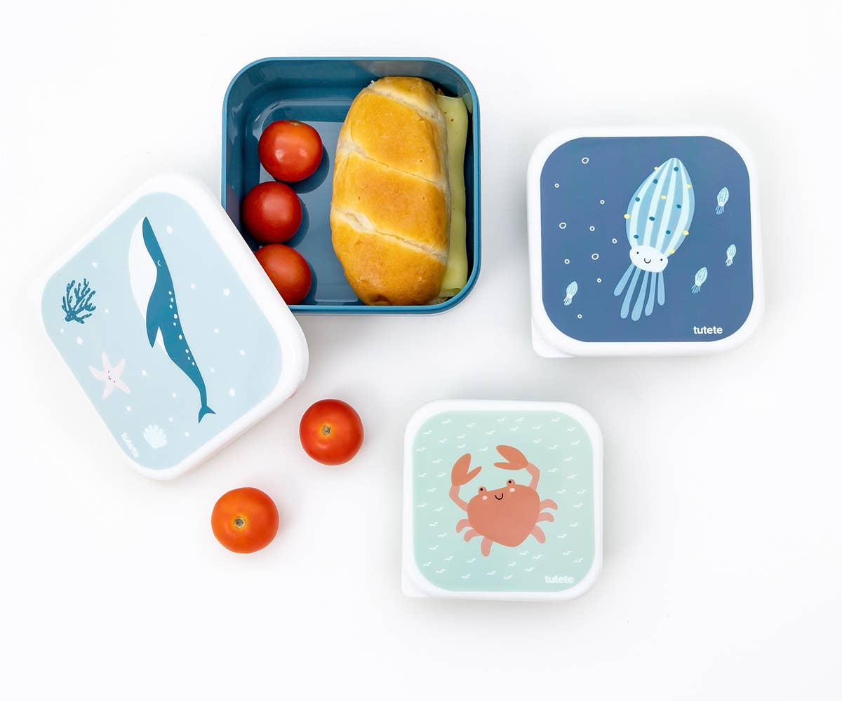 3 boites dejeuner animal friends