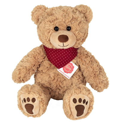 Chilly teddy bear with scarf