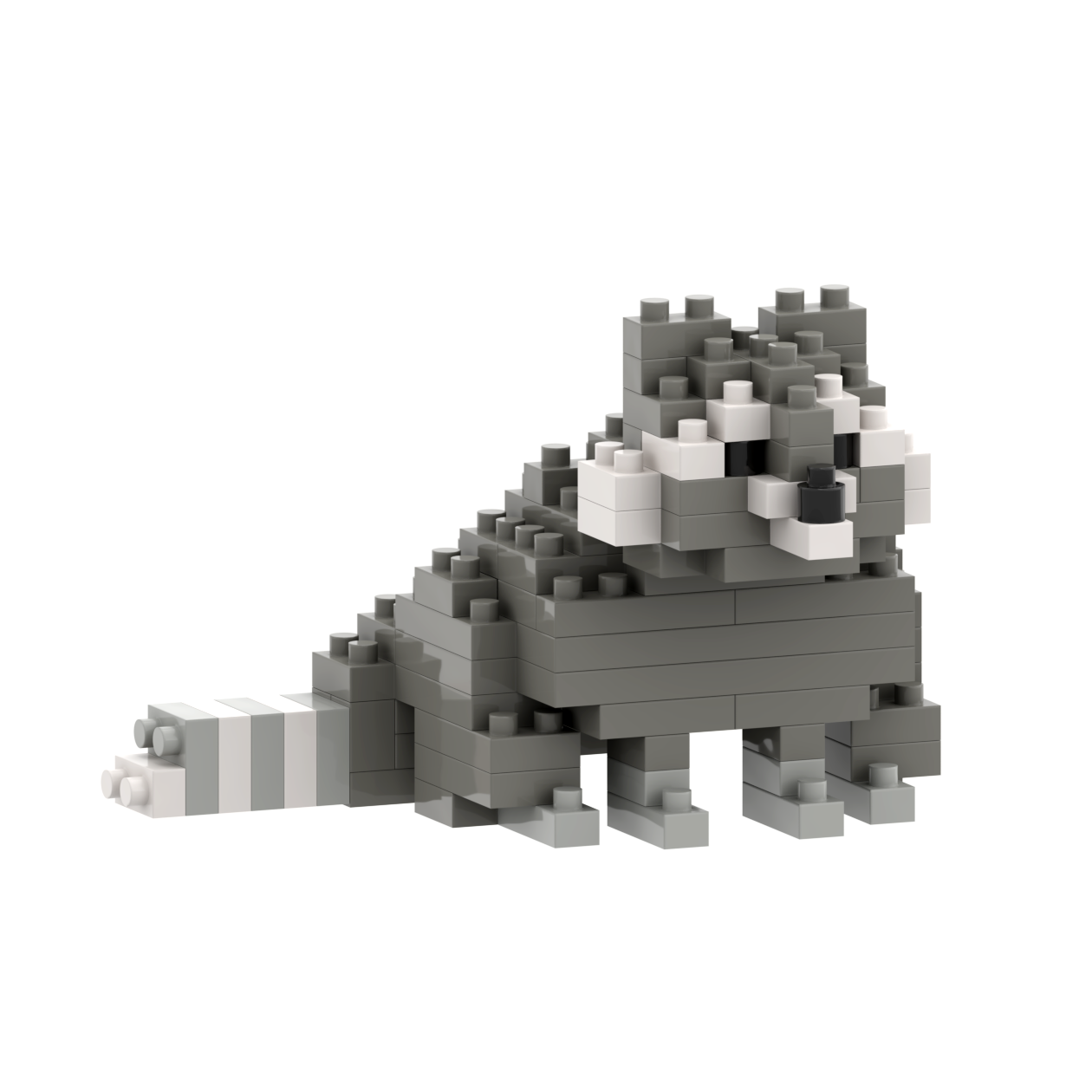 BRIXIES raccoon