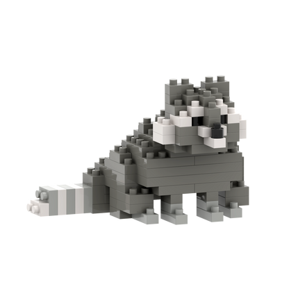 BRIXIES raccoon
