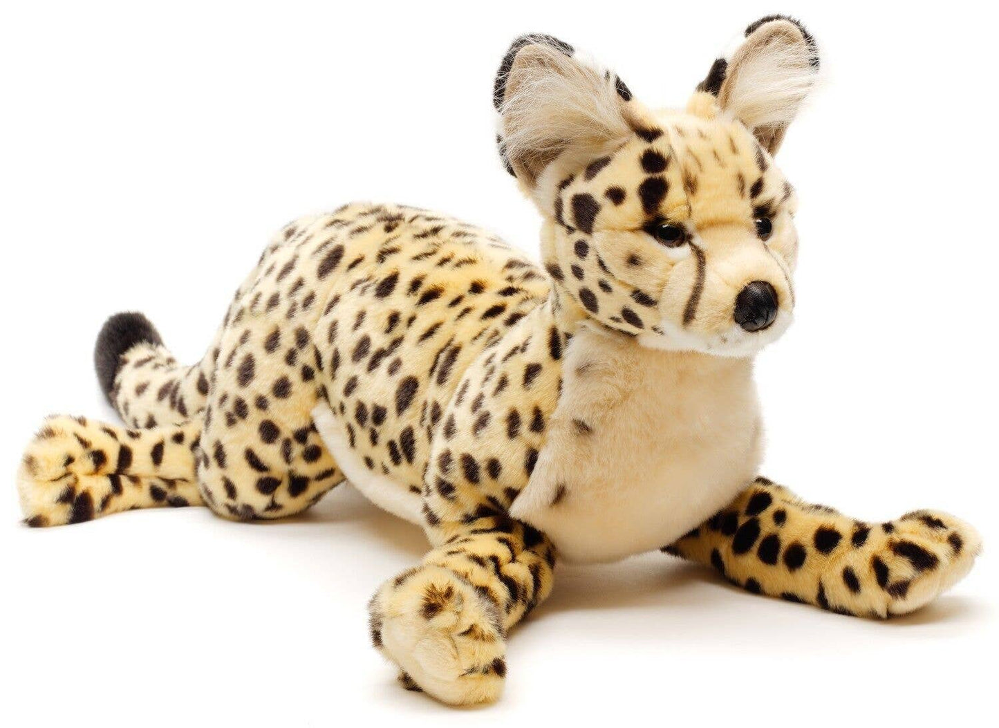 Plush Savannah Cat Lying Down