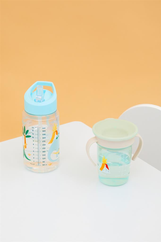 Dinosaur Water Bottle