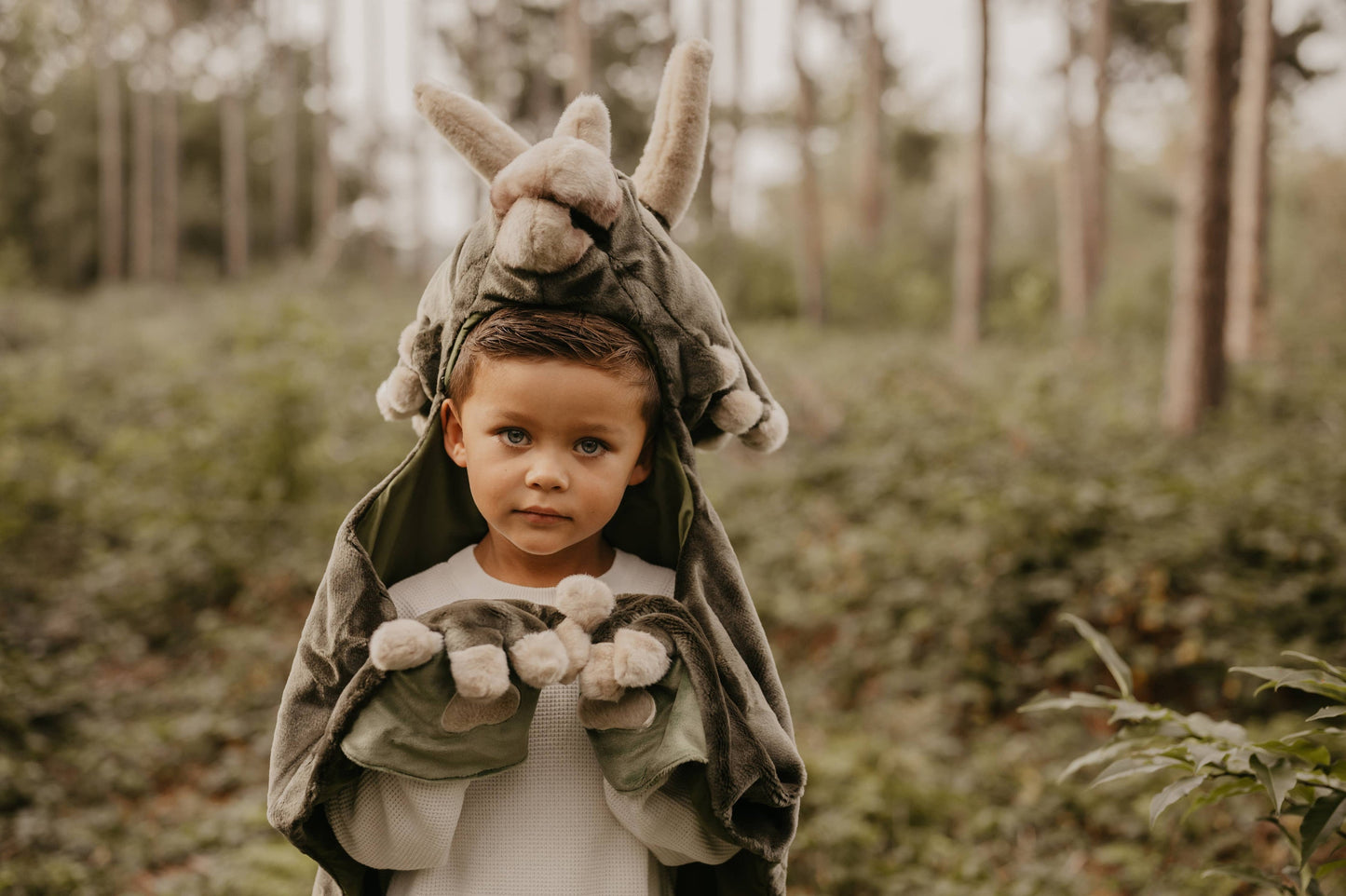 Kids Dinosaur Costume