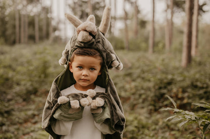 Kids Dinosaur Costume