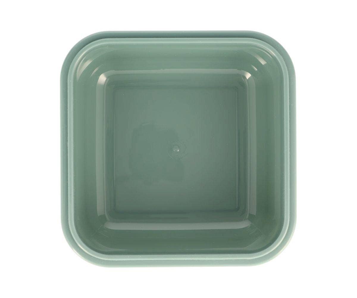 Große Lunchbox „Dinosaurierwelt“