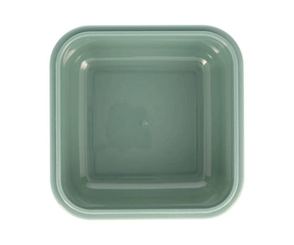 Große Lunchbox „Dinosaurierwelt“