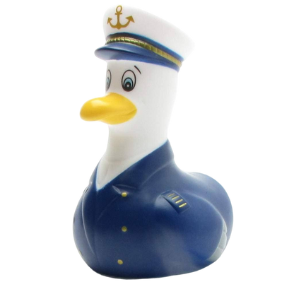 Mouette Capitaine