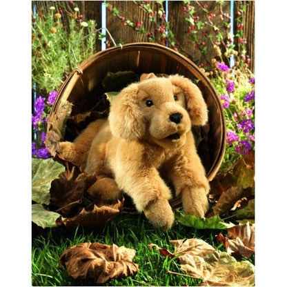 Marionnette à main Golden Retriever Baby 2862/ Chiot Golden Retriever Folkmanis réaliste