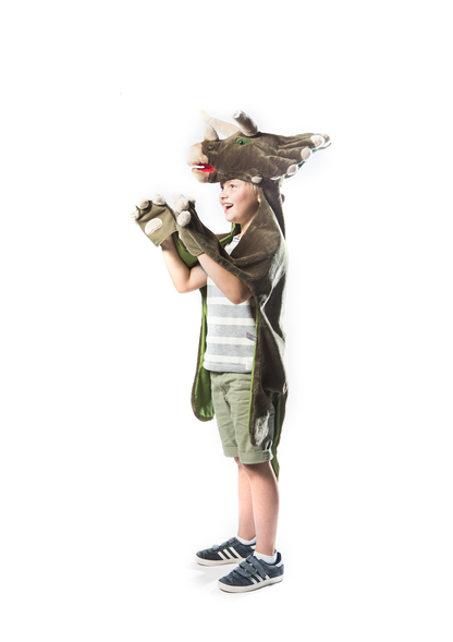 Kids Dinosaur Costume