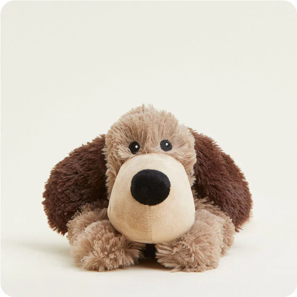 Chien bouillotte Warmies – gamme Juniors