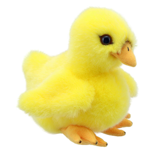Chick Plush - Wilberry Minis