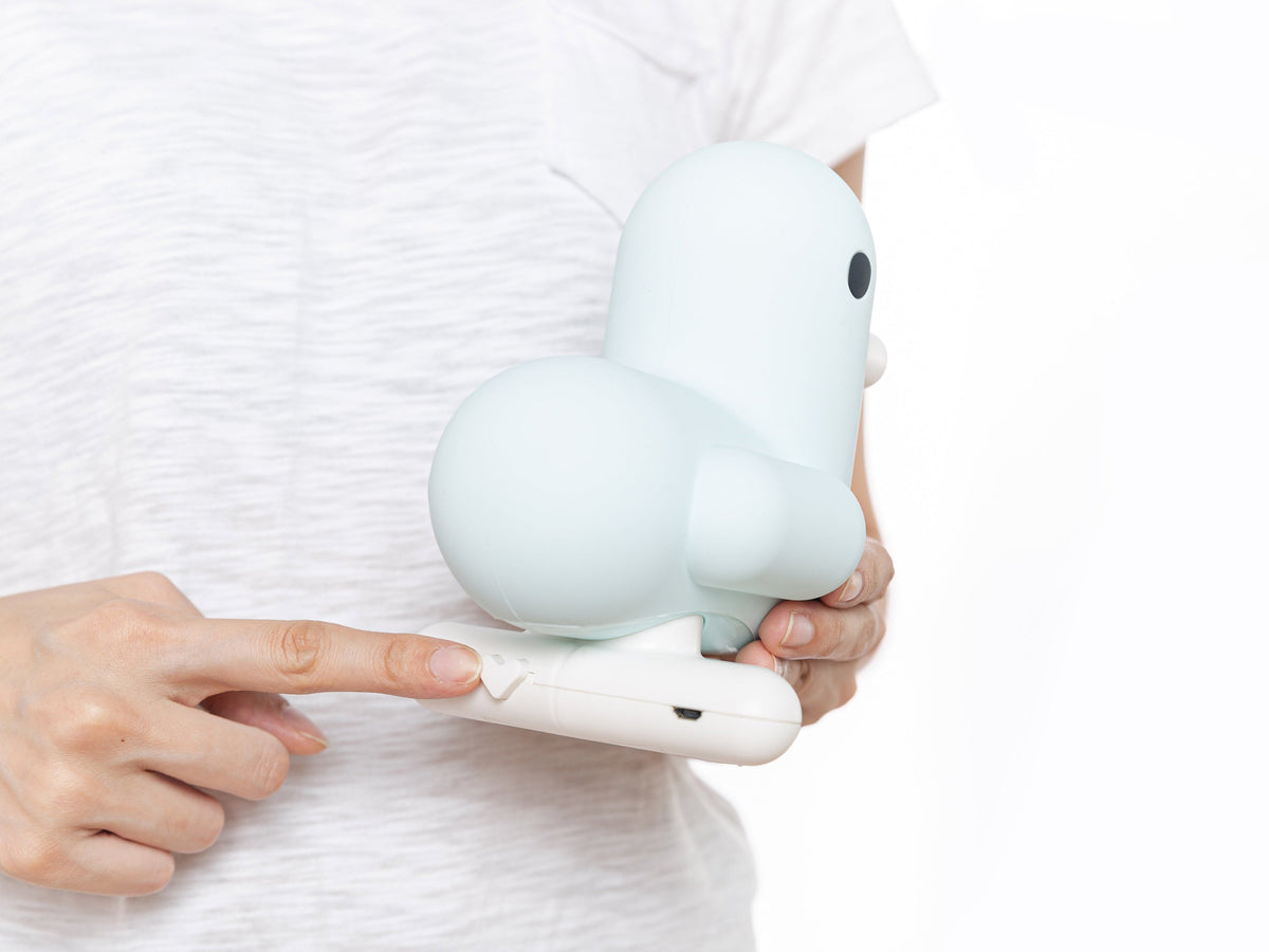 Pastel Blue Duck Light