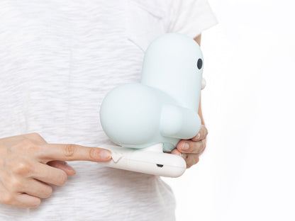 Pastel Blue Duck Light