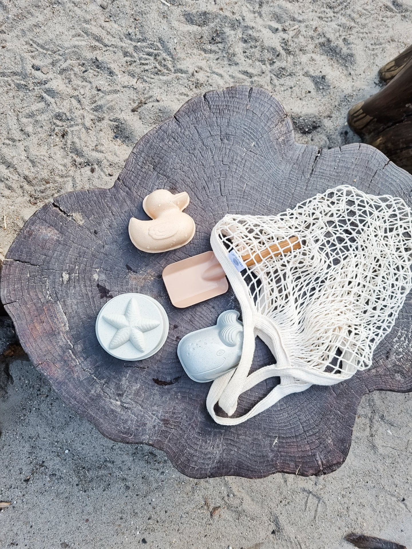 Enten-Sandformen-Set