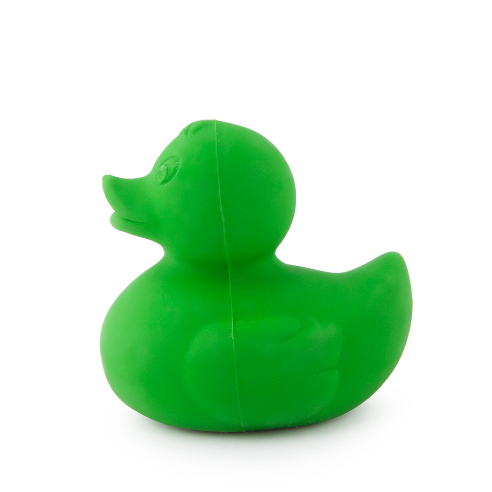 Elvis le canard vert